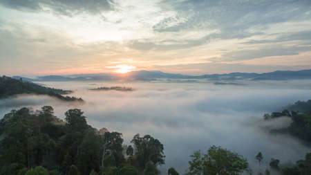 aerial view mist above the mountain in tropical rainforest and beautiful sunrise scenery view in Phang Nga valleyの写真素材