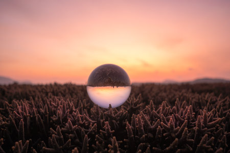 Colorful sunrise in a crystal ball placed on the staghorn coral,Unconventional and beautiful...