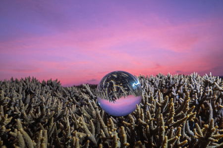 Colorful sunrise in a crystal ball placed on the staghorn coral,
Unconventional and beautiful natural views of the sea in a magic crystal ball. 
coral reef background.
Unique and creative nature idea.の写真素材