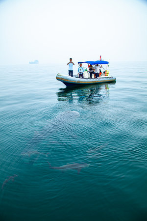 Fishermen in the boat on the sea at Koh Samui, Thailandの写真素材