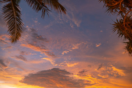 beautiful golden sunset above the ocean.
yellow cloud moving in nature cloudscape sky of sunset over the sea.
Scene of Colorful romantic sky sunset with gold color of the sky behind the tree.の写真素材