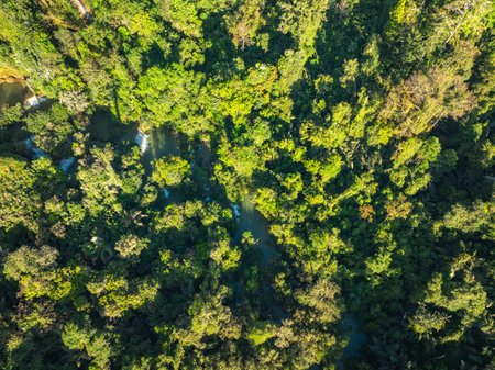 Aerial View Numerous waterfalls flow from wide, steep cliffs. 
Thi Lor Su waterfall Nestled amidst the untouched beauty of Tak Province.
Thi Lo Su Waterfall The Largest Waterfall in Thailand.の写真素材