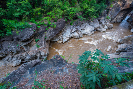 A picturesque view of a river gorge surrounded by lush green forests, with towering rock formations and a narrow bridge connecting the cliffs. The natural beauty and vibrant greenery.の写真素材