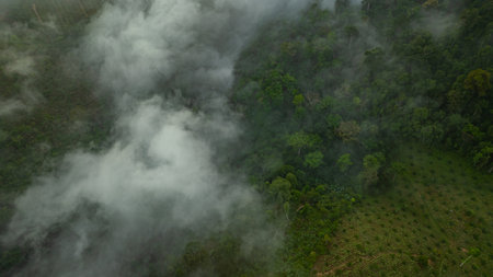 landscape, with layers of fog and vibrant colors painting the horizon. The serene atmosphere and...
