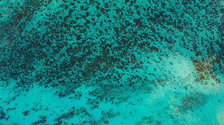 A stunning aerial view of a tropical coastline featuring lush green forest, a vibrant turquoise coral reef, and deep blue ocean waters. the natural beauty of marine and coastal ecosystems.の写真素材