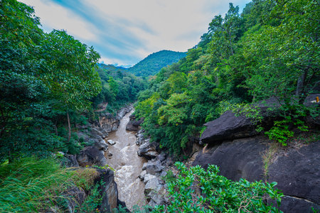 A picturesque view of a river gorge surrounded by lush green forests, with towering rock formations and a narrow bridge connecting the cliffs. The natural beauty and vibrant greenery. kissing cliffsの写真素材