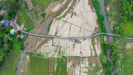 Aerial view Amazing beauty in the hill tribe village.The bridge snaking through the rice fields to link the clergy and the community is one of Mae Hong Son's longest and most beautiful bamboo bridgesの写真素材