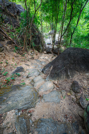 A picturesque view of a river gorge surrounded by lush green forests, with towering rock formations and a narrow bridge connecting the cliffs. The natural beauty and vibrant greenery. kissing cliffsの写真素材