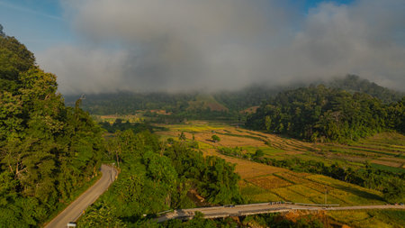 An aerial view of terraced rice fields in a charming valley of golden rice fields and lush forests covered in morning mist, creating a peaceful and atmospheric rural atmosphere. beautiful natureの写真素材