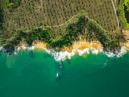 A stunning aerial view of a tropical coastline featuring golden sandy beaches, lush green pine trees, and turquoise ocean waves crashing against the shore. perfect for travel and nature visuals.の写真素材