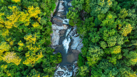 Mae Klang Waterfall in Chiang Mai.
A stunning aerial view of a cascading waterfall surrounded by vibrant green forest and rolling hills. The scene captures the beauty of nature's raw powerの写真素材