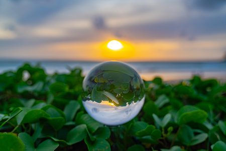Time lapse of a glass sphere placed on sea purslane. As the sun sets, the green shadows of sea...