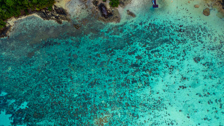 A stunning aerial view of a tropical coastline featuring lush green forest, a vibrant turquoise coral reef, and deep blue ocean waters. the natural beauty of marine and coastal ecosystems.の写真素材