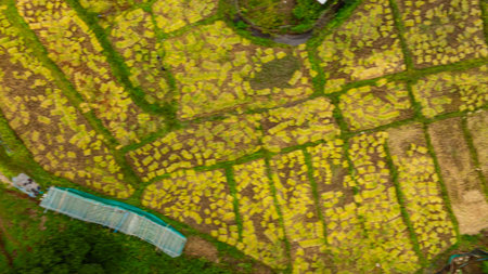 Aerial view Amazing beauty in the hill tribe village.The bridge snaking through the rice fields to...
