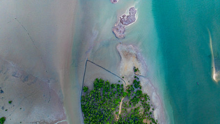 Amid the shallow coastal waters and mangrove forests, a deepwater channel winds its way toward the open sea. This natural waterway serves as a crucial route for boats navigating to the ocean.の写真素材