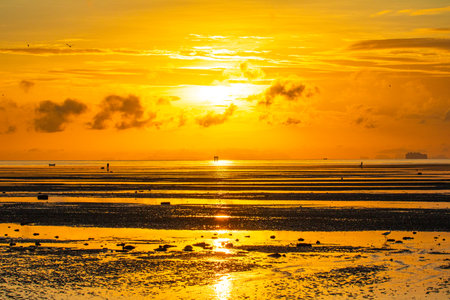 A breathtaking view of the sun setting over the ocean. casting a golden glow across the sky and...