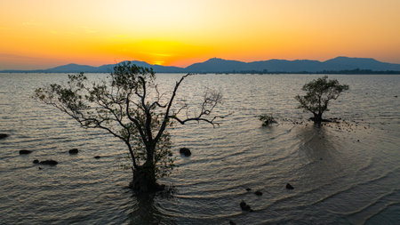 Aerial view of A tranquil sunset over a calm coastal landscape, with the golden sunset behind distant mountains and reflecting on the sea. The peaceful atmosphere is complemented by scattered rocksの写真素材