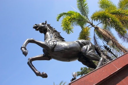 Statue of a horseの写真素材