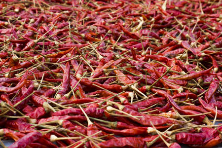 multitude of red chili peppers, closeup view 