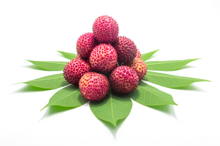 Fresh Lychees with leaves on white background.の写真素材
