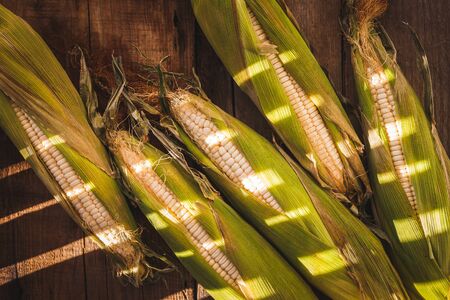 Cornsの写真素材