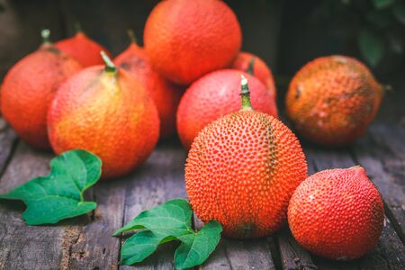 Baby Jackfruitsの写真素材