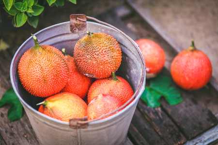 Baby Jackfruitsの写真素材