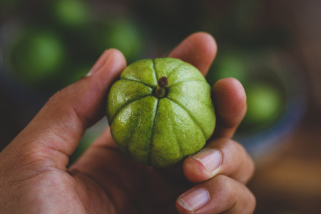 Little Guavaの写真素材