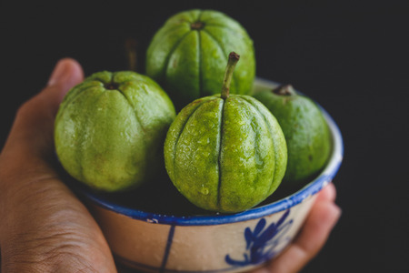Little Guavasの写真素材