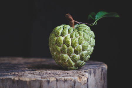 Custard Apple Fruitの写真素材