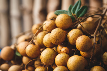 Fresh Longan Fruits from Viet Namの写真素材