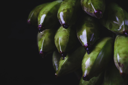 Green Bananasの写真素材