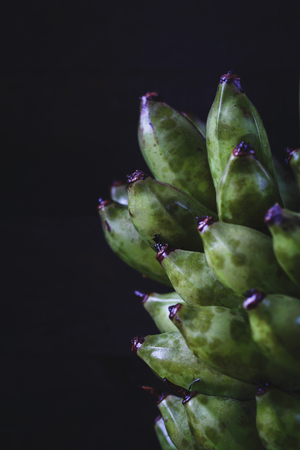 Green Bananasの写真素材