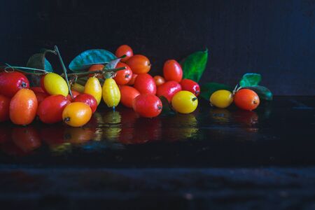 Elaeagnus Latifolia Fruitsの写真素材