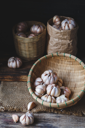 Garlicsの写真素材