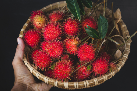 Fresh Rambutan Fruitsの写真素材