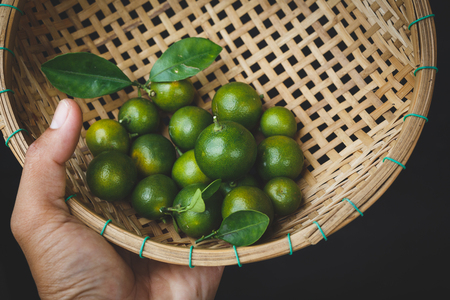 Fresh Kumquat Fruitsの写真素材