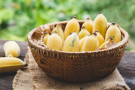 Vietnamese bananasの写真素材