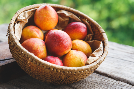 Fresh Peachesの写真素材