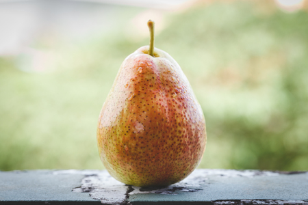 Fresh Forelle Pearの写真素材