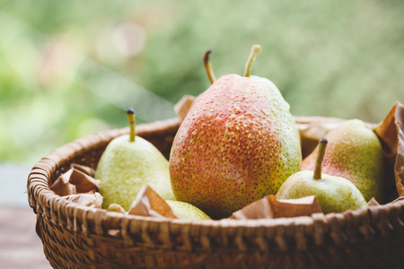 Fresh Forelle Pearsの写真素材