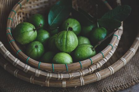 Little Guavas from Vietnamの写真素材
