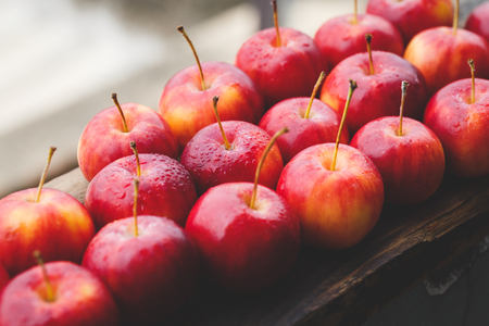 Fresh Little Applesの写真素材