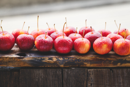 Fresh Little Applesの写真素材