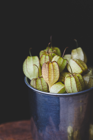 Ground Cherriesの写真素材