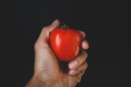 Red tomatoesの写真素材