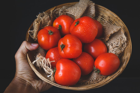 Red tomatoesの写真素材