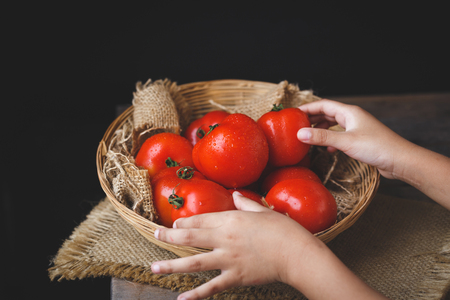 Red tomatoesの写真素材