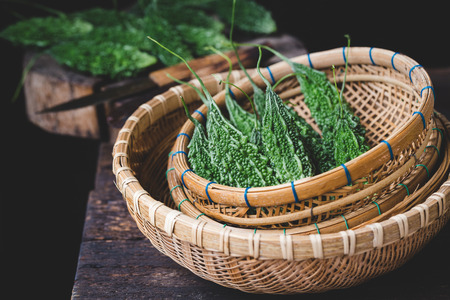 Green bitter melonsの写真素材