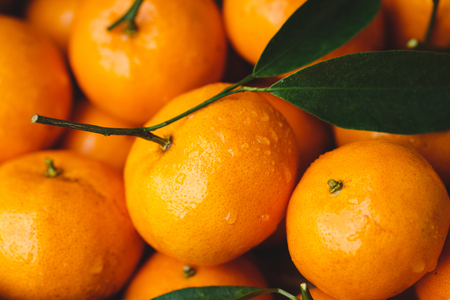 Yellow mandarin fruitsの写真素材